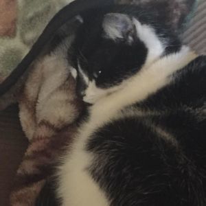 Meet your Posher, Jada